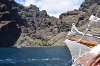 Los Gigantes - Bootsfahrt