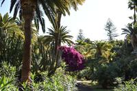 Santa Cruz de Tenerife