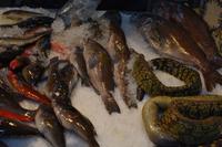 Santa Cruz de Tenerife