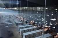 Santa Cruz de Tenerife