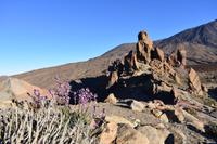 Teide Nationalpark
