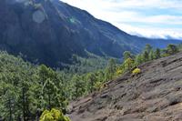 Nationalpark Caldera de Taburiente
