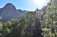 Nationalpark Caldera de Taburiente