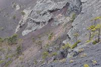 Volcan de San Antonio