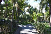 Garten der Gräfin - Arucas - Finca