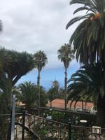 kubanisches Flair in La Orotava