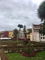 Spaziergang in La Orotava