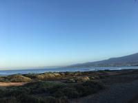 Strand von Playa de las Américas
