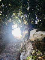 Ausläufer vom Nationalpark