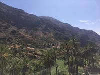 Palmental Valle Gran Rey