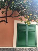 Apfelsinenbaum im charmanten Örtchen Agulo