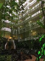 Unser Hotel H10 in La Palma