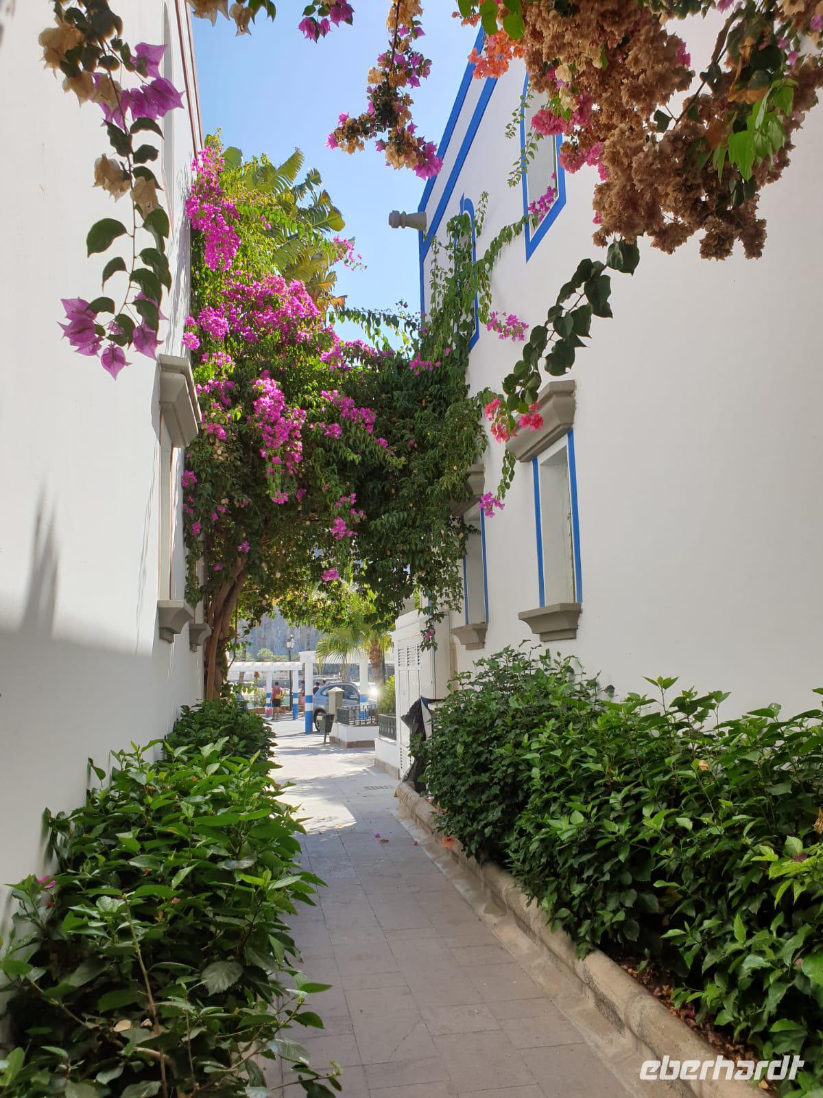 Blumenbracht in Puerto de Mogán