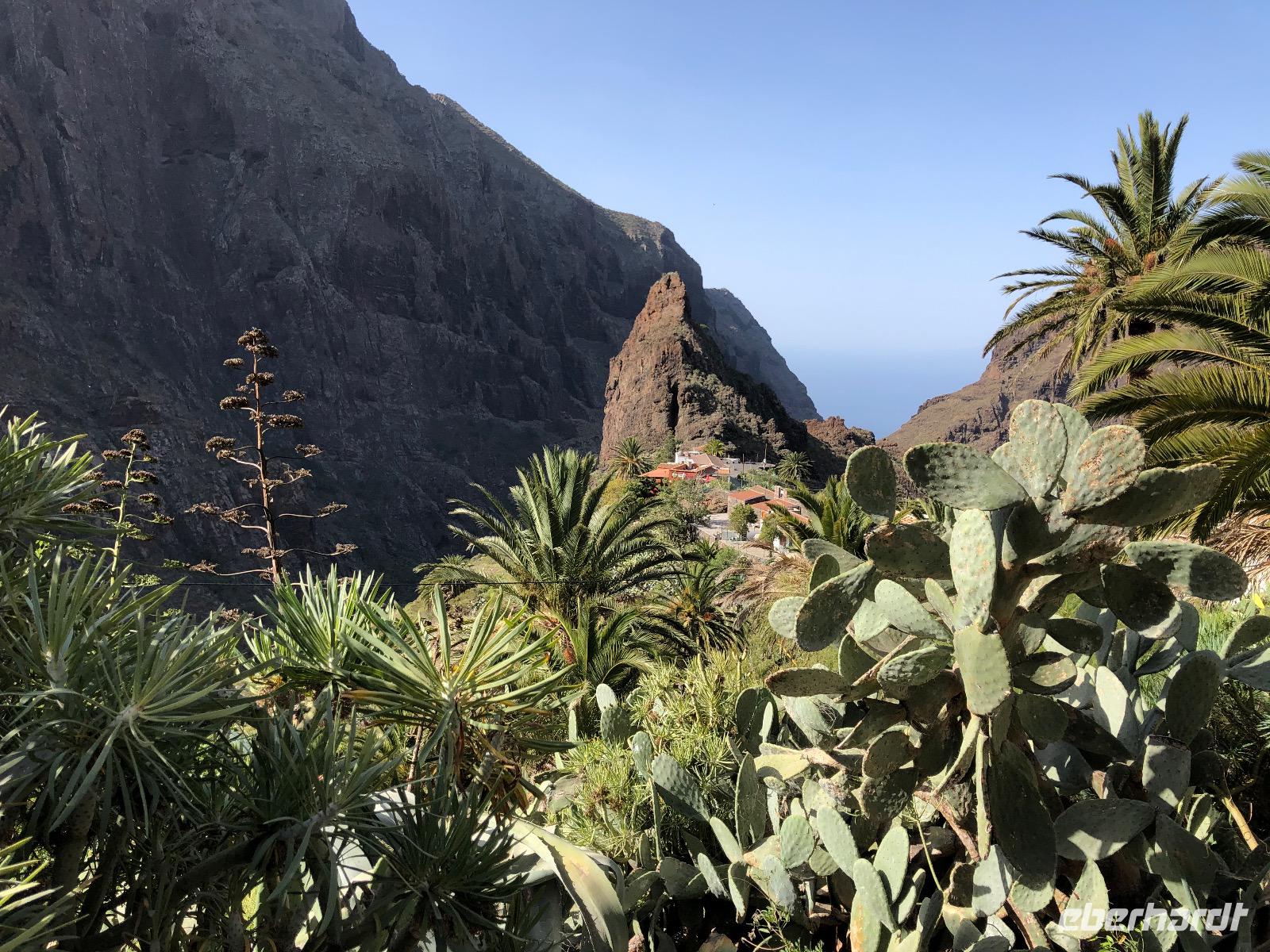 Blick auf das Bergdorf Masca auf Teneriffa