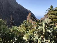 Blick auf das Bergdorf Masca auf Teneriffa