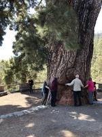 Padre Pino - 9 Personen der Eberhardt Reisegruppe wurden zum Umarmen benötigt