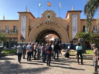 Markt - Mercado Africa - in Santa Cruz de Tenerife