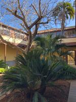 San Cristobal de La Laguna