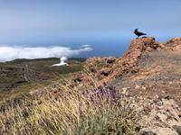 Observatorium für Astrophysik auf La Palma