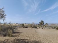 Dünen von Maspalomas