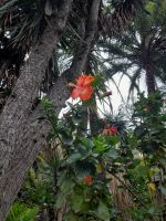 Jardín de la Marquesa