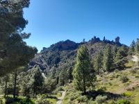 Roque Nublo