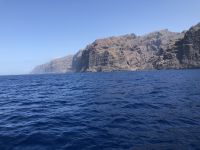 Los Gigantes 