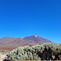 0304 Ausflug Teide Nationalpark