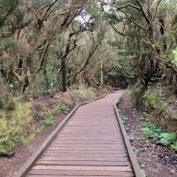 0401 Ausflug Anaga Gebirge