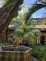 Innenhof Haus von Alvarado - Bracamonte La Laguna Teneriffa