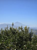 Blick auf den Teide vom Anagagebirge