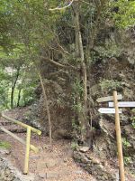 Wanderpfad Cubo de La Galga, La Palma