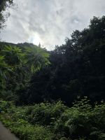 Wanderpfad Cubo de La Galga, La Palma