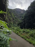 Wanderpfad Cubo de La Galga, La Palma