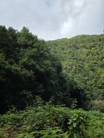 Wanderpfad Cubo de La Galga, La Palma