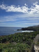 Bananenplantagen, La Palma.jpg