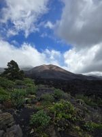 Vulkan Tajogaide, La Palma