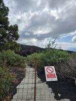 Vulkan Tajogaide, La Palma