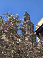Vegueta, Las Palmas, Gran Canaria