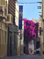 Vegueta, Las Palmas, Gran Canaria