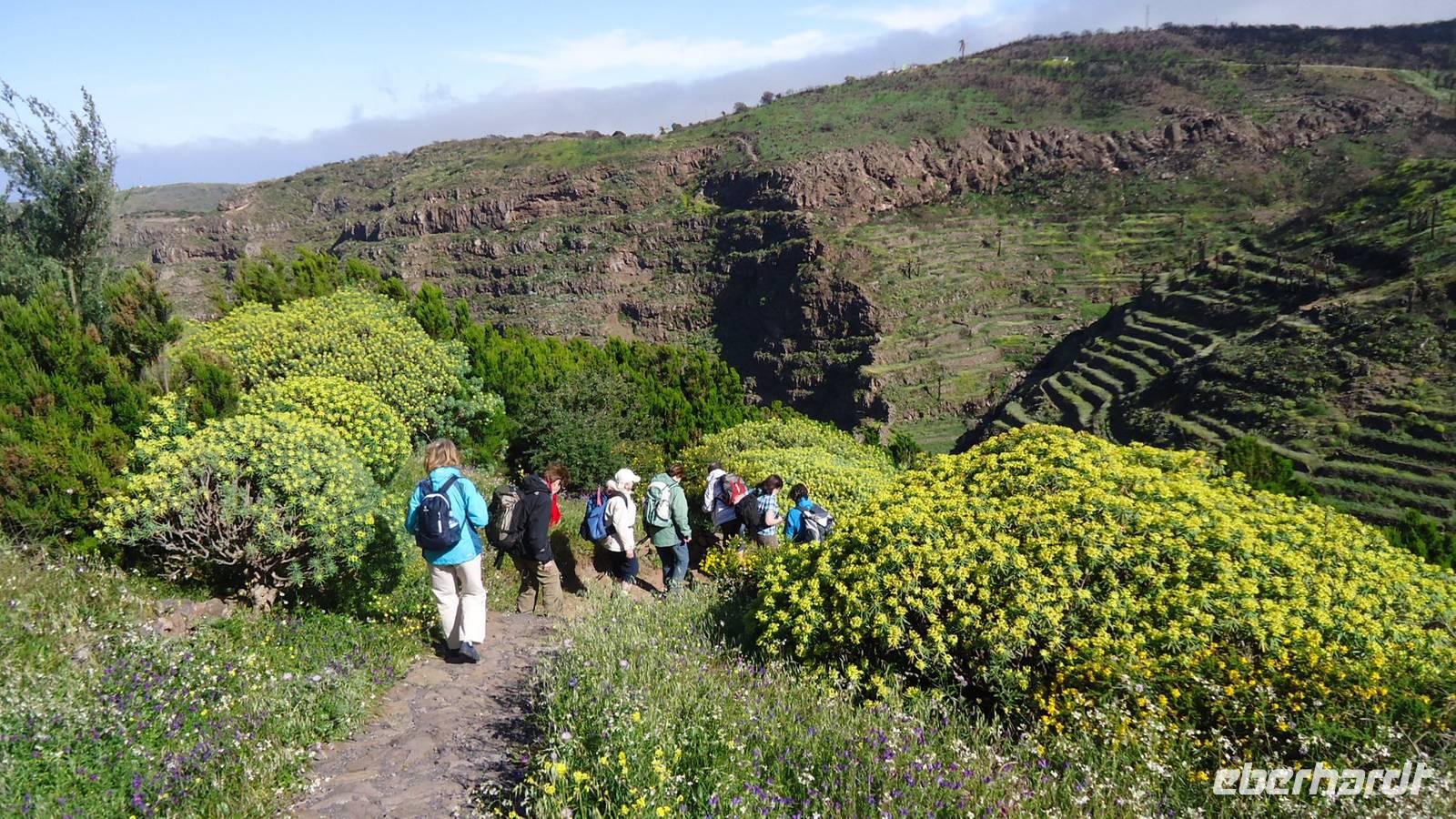 La Gomera /  Wandern El Cercado
