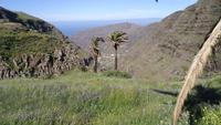 La Gomera /  Wandern El Cercado