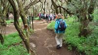 La Gomera /  beim Wandern