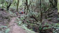 La Gomera /  beim Wandern