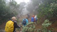 La Gomera /  beim Wandern