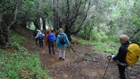 La Gomera /  beim Wandern