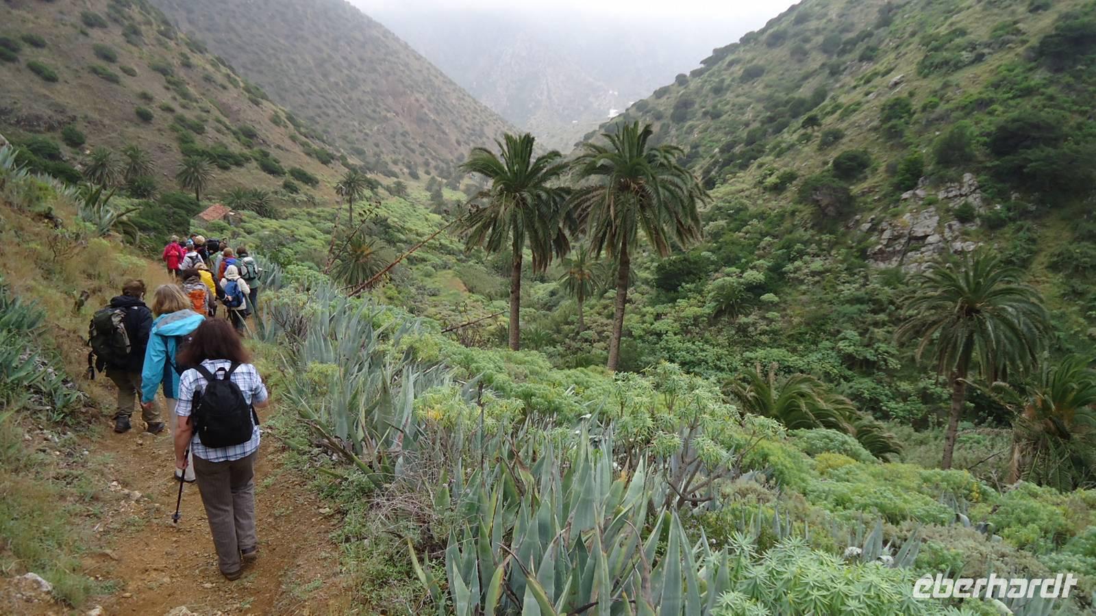 La Gomera /  beim Wandern