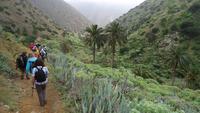 La Gomera /  beim Wandern