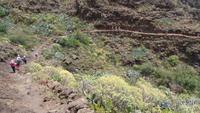La Gomera /  beim Wandern