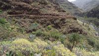 La Gomera /  beim Wandern